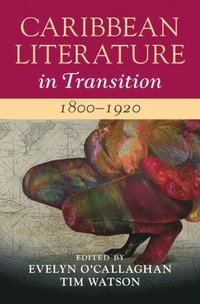 bokomslag Caribbean Literature in Transition, 1800-1920: Volume 1