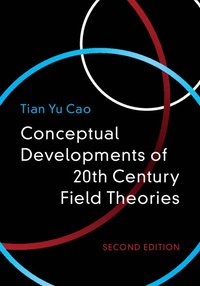 bokomslag Conceptual Developments of 20th Century Field Theories
