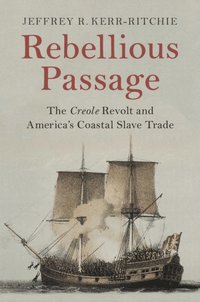 bokomslag Rebellious Passage