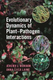 bokomslag Evolutionary Dynamics of Plant-Pathogen Interactions