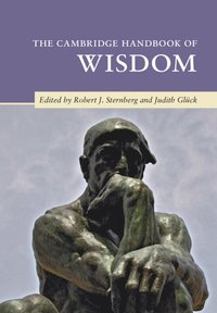 bokomslag Cambridge Handbook of Wisdom