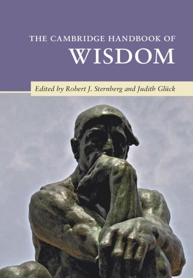 bokomslag Cambridge Handbook of Wisdom