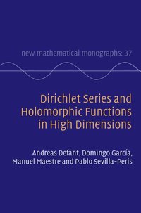bokomslag Dirichlet Series and Holomorphic Functions in High Dimensions