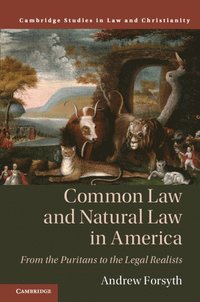 bokomslag Common Law and Natural Law in America