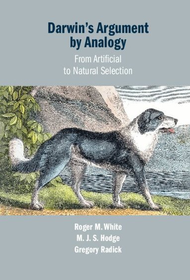 Roger M. White, M. J. S. Hodge, Gregory Radick - Darwin's Argument by Analogy, Inbunden