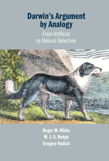 Roger M. White, M. J. S. Hodge, Gregory Radick, Roger M. (University of Leeds) White, M. J. S. (University of Leeds) Hodge, Gregory (University of Leeds) Radick - Darwin's Argument by Analogy, Inbunden