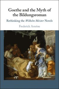 bokomslag Goethe and the Myth of the Bildungsroman