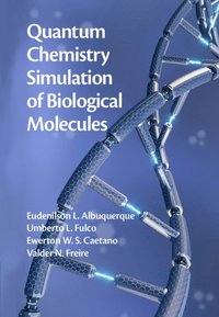 bokomslag Quantum Chemistry Simulation of Biological Molecules