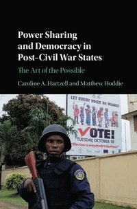 bokomslag Power Sharing and Democracy in Post-Civil War States