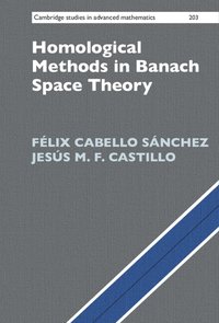bokomslag Homological Methods in Banach Space Theory