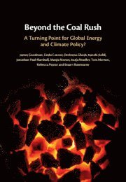 Beyond the Coal Rush