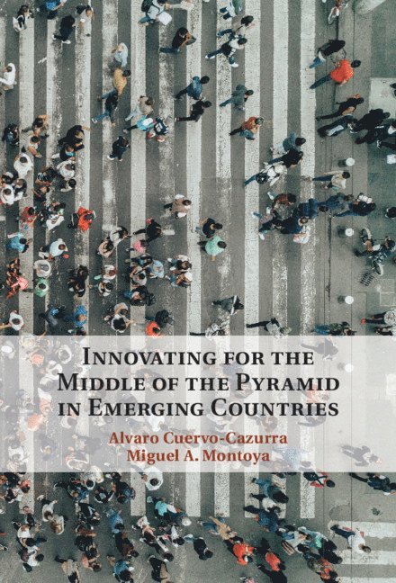 Innovating for the Middle of the Pyramid in Emerging Countries 1