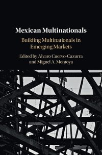 bokomslag Mexican Multinationals