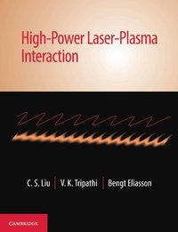 bokomslag High-Power Laser-Plasma Interaction