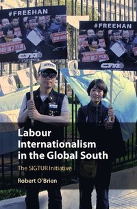 bokomslag Labour Internationalism in the Global South