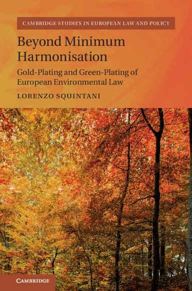 Lorenzo Squintani - Beyond Minimum Harmonisation, Inbunden