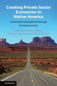 bokomslag Creating Private Sector Economies in Native America