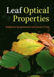 bokomslag Leaf Optical Properties