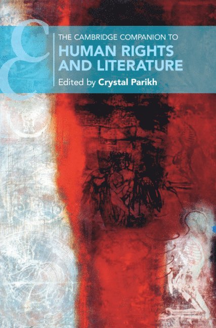 Cambridge Companion to Human Rights and Literature 1