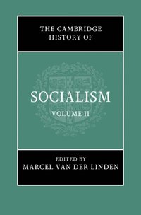 bokomslag The Cambridge History of Socialism: Volume 2