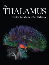 bokomslag The Thalamus