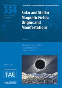 bokomslag Solar and Stellar Magnetic Fields (IAU S354)