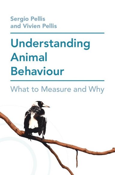 bokomslag Understanding Animal Behaviour