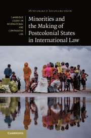 bokomslag Minorities and the Making of Postcolonial States in International Law