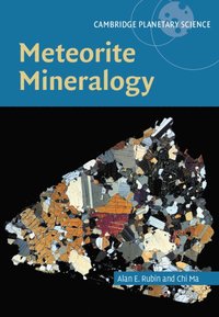 bokomslag Meteorite Mineralogy