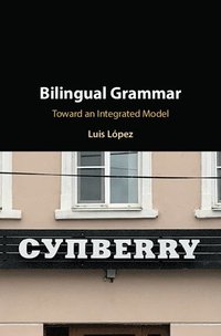 bokomslag Bilingual Grammar