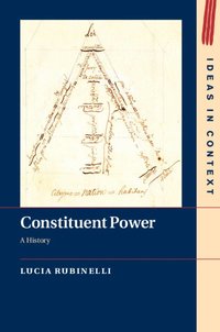bokomslag Constituent Power