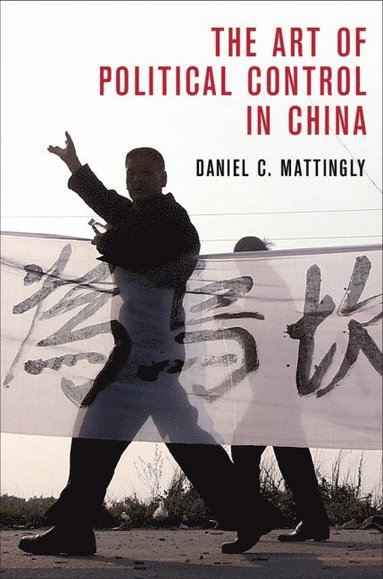 bokomslag Art of Political Control in China
