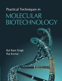 bokomslag Practical Techniques in Molecular Biotechnology