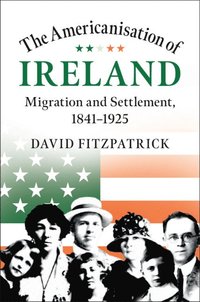 bokomslag The Americanisation of Ireland