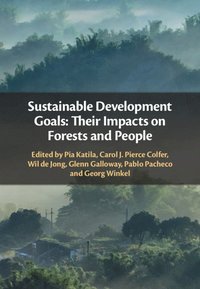 bokomslag Sustainable Development Goals: Their Impacts on Forests and People