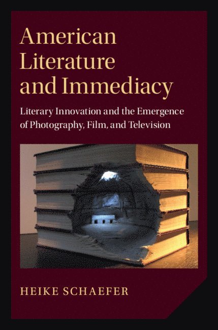 American Literature and Immediacy 1