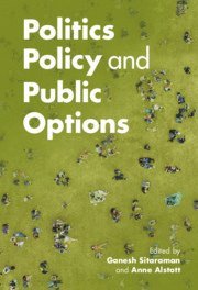 bokomslag Politics, Policy, and Public Options