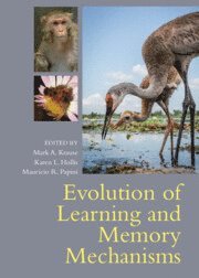 bokomslag Evolution of Learning and Memory Mechanisms