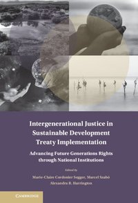 bokomslag Intergenerational Justice in Sustainable Development Treaty Implementation