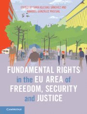 bokomslag Fundamental Rights in the EU Area of Freedom, Security and Justice