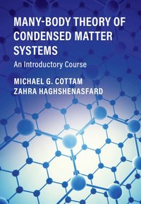 bokomslag Many-Body Theory of Condensed Matter Systems