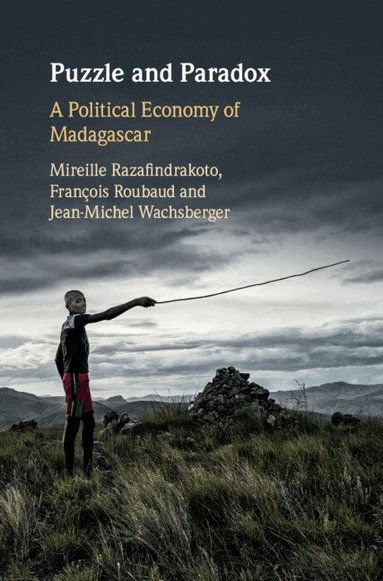 Mireille Razafindrakoto, François Roubaud, Jean-Michel Wachsberger - Puzzle and Paradox, Inbunden