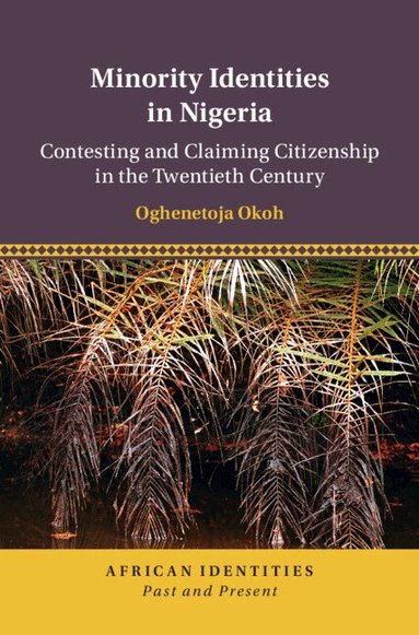 Oghenetoja Okoh - Minority Identities in Nigeria, Inbunden