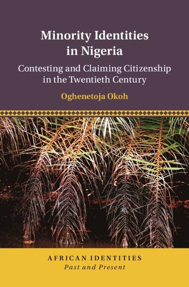 bokomslag Minority Identities in Nigeria
