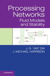 bokomslag Processing Networks