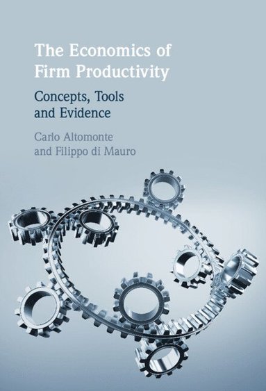 bokomslag Economics of Firm Productivity