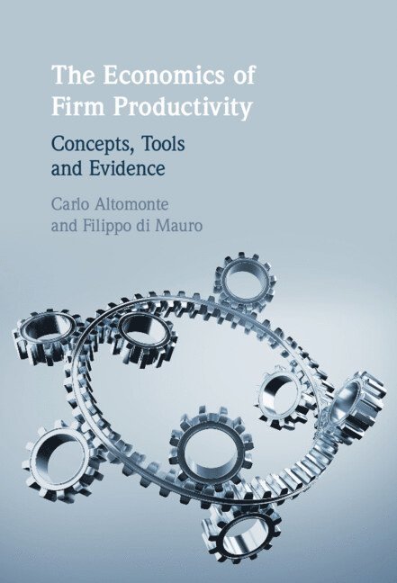 Economics of Firm Productivity 1