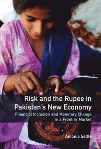 bokomslag Risk and the Rupee in Pakistan's New Economy