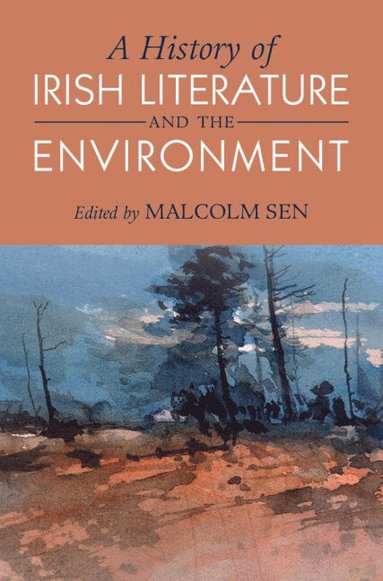 bokomslag A History of Irish Literature and the Environment