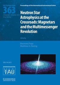 bokomslag Neutron Star Astrophysics at the Crossroads (IAU S363)